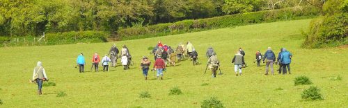 Members digging in the field